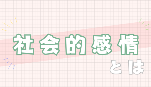 💚社会的感情とは